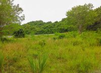 Land For Sale in Ratchada Soi 17